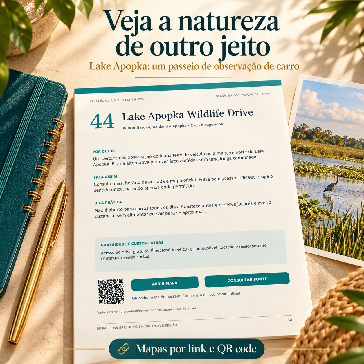 Lake Apopka Wildlife Drive